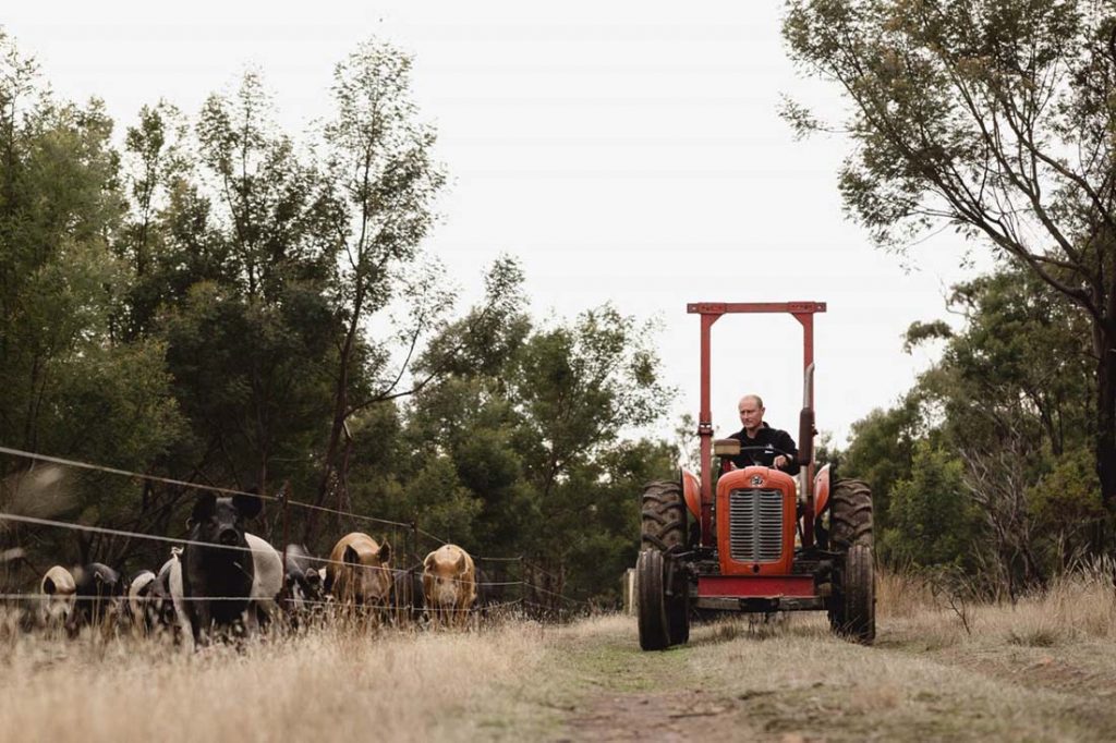 tasmanian-pork-long-name-farm-free-range-heritage-pork-pig-farm-hobart